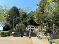前玉神社の{uncategorized: "未分類", other: "その他", undefined: "問題あり", building: "その他建物", grave: "お墓", sacred_gate: "鳥居", guardian: "狛犬", statue: "像", buddha: "仏像", history: "歴史", nature: "自然", garden: "庭園", animal: "動物", pagoda: "塔", temizu: "手水舎", mountain_gate: "山門・神門", sanctuary: "本殿・本堂", subordinate: "末社・摂社", art: "芸術", scenery: "景色", jizo: "地蔵", ema: "絵馬", goshuin: "御朱印", omikuji: "おみくじ", items: "授与品その他", amulet: "お守り", goshuincho: "御朱印帳", eats: "食事", festival: "お祭り", votive_dance: "神楽", shichigosan: "七五三参", wedding: "結婚式", experience: "体験その他", initially: "初詣", around: "周辺", anti_infection: "感染症対策"}
