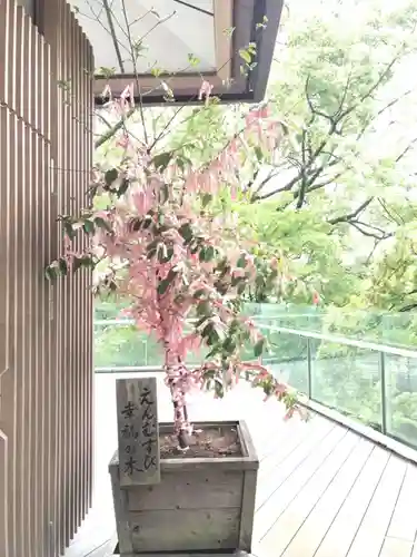 宝満宮竈門神社の庭園