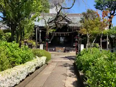 白山神社の本殿・本堂