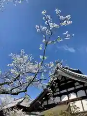 興禅寺(愛知県)