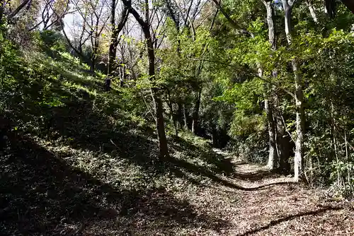 四津山神社(埼玉県)