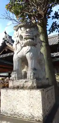 伊勢崎神社の狛犬