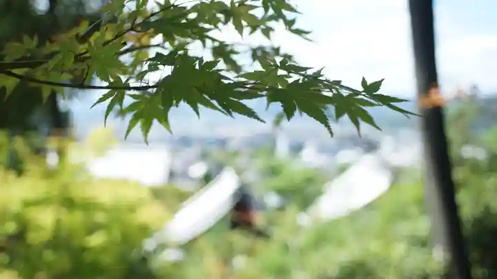 圓光寺(京都府)