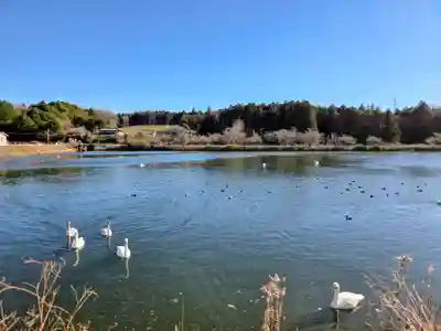 常陸二ノ宮　静神社(茨城県)