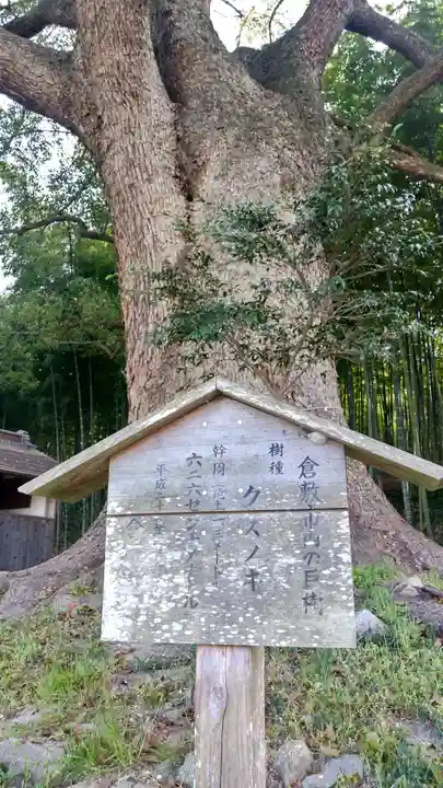 岩椿神社の自然
