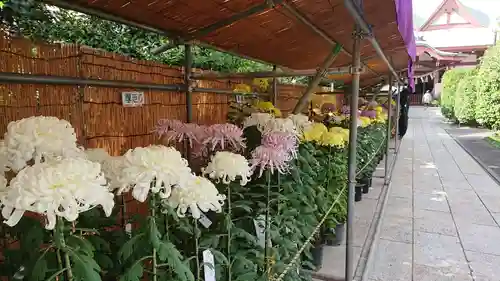 八幡八雲神社のその他建物