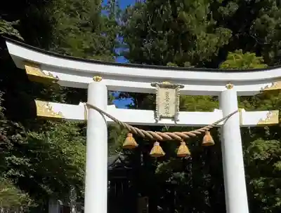 宝登山神社(埼玉県)