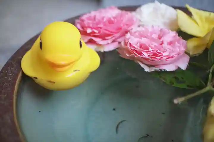 徳星寺の手水舎