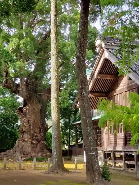 川津来宮神社の芸術