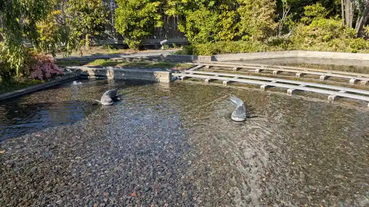鉄道神社の庭園