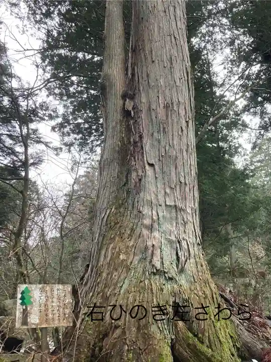 仲仙寺(長野県)