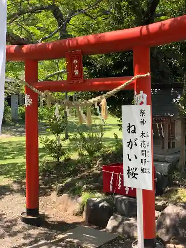 茨城縣護國神社の鳥居