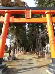 亀岡八幡宮(栃木県)