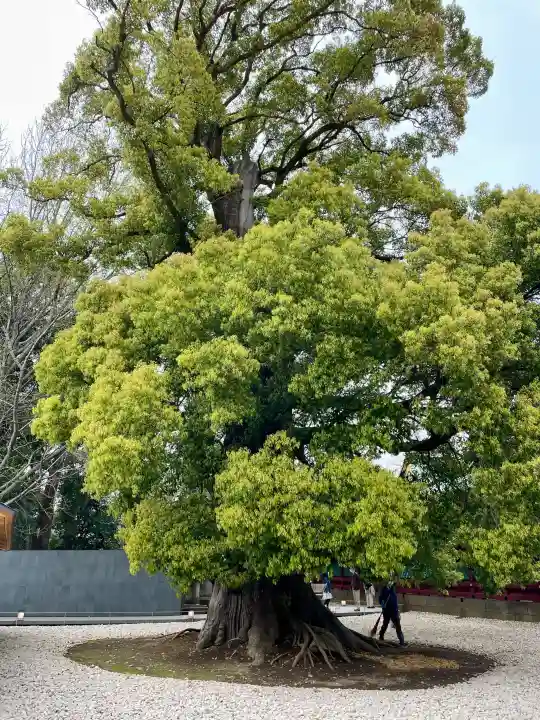 栄誉権現社の{uncategorized: "未分類", other: "その他", undefined: "問題あり", building: "その他建物", grave: "お墓", sacred_gate: "鳥居", guardian: "狛犬", statue: "像", buddha: "仏像", history: "歴史", nature: "自然", garden: "庭園", animal: "動物", pagoda: "塔", temizu: "手水舎", mountain_gate: "山門・神門", sanctuary: "本殿・本堂", subordinate: "末社・摂社", art: "芸術", scenery: "景色", jizo: "地蔵", ema: "絵馬", goshuin: "御朱印", omikuji: "おみくじ", items: "授与品その他", amulet: "お守り", goshuincho: "御朱印帳", eats: "食事", festival: "お祭り", votive_dance: "神楽", shichigosan: "七五三参", wedding: "結婚式", experience: "体験その他", initially: "初詣", around: "周辺", anti_infection: "感染症対策"}