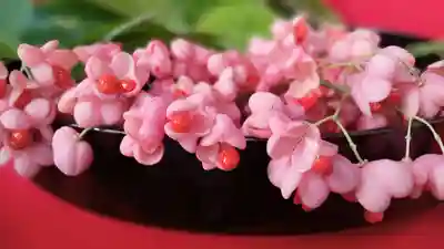 阿邪訶根神社(福島県)