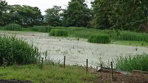 北向神社の周辺