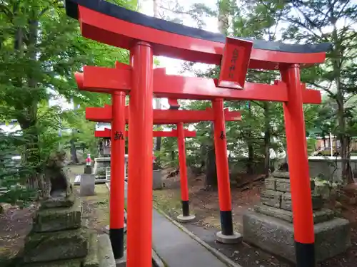 富良野神社の鳥居