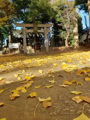 愛宕神社の鳥居