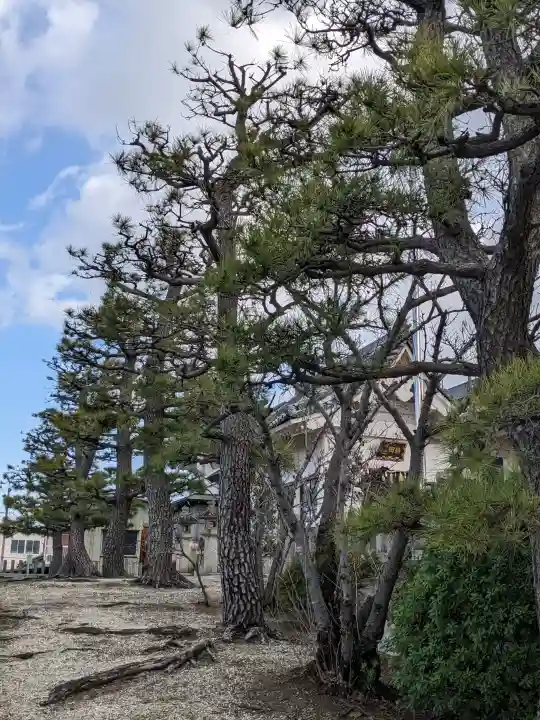 小川熱田社の{uncategorized: "未分類", other: "その他", undefined: "問題あり", building: "その他建物", grave: "お墓", sacred_gate: "鳥居", guardian: "狛犬", statue: "像", buddha: "仏像", history: "歴史", nature: "自然", garden: "庭園", animal: "動物", pagoda: "塔", temizu: "手水舎", mountain_gate: "山門・神門", sanctuary: "本殿・本堂", subordinate: "末社・摂社", art: "芸術", scenery: "景色", jizo: "地蔵", ema: "絵馬", goshuin: "御朱印", omikuji: "おみくじ", items: "授与品その他", amulet: "お守り", goshuincho: "御朱印帳", eats: "食事", festival: "お祭り", votive_dance: "神楽", shichigosan: "七五三参", wedding: "結婚式", experience: "体験その他", initially: "初詣", around: "周辺", anti_infection: "感染症対策"}