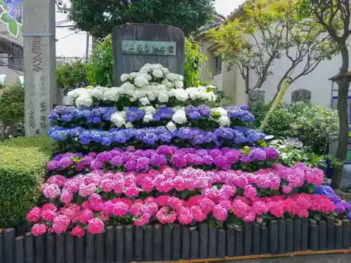 白山神社の庭園