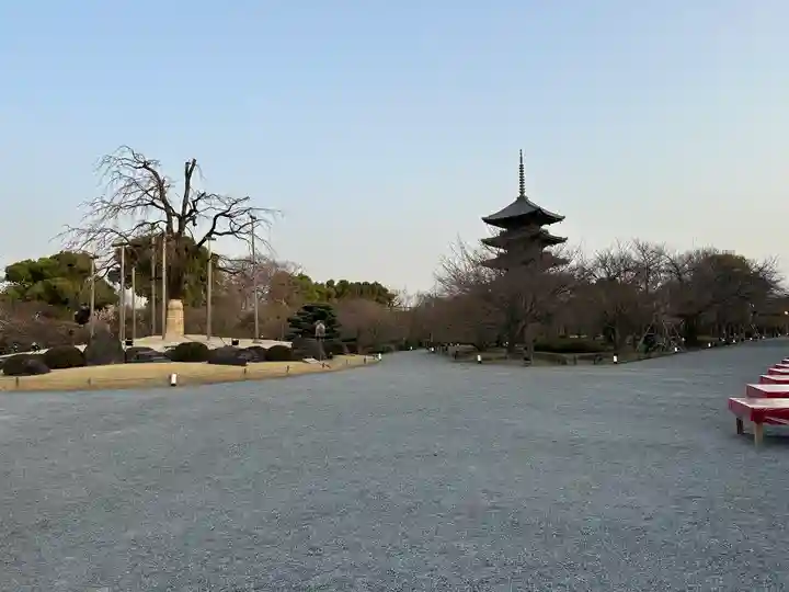 東寺(教王護国寺)の庭園