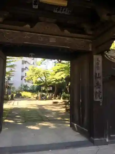 仙岳院の山門・神門