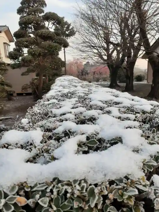 伏木香取神社の自然
