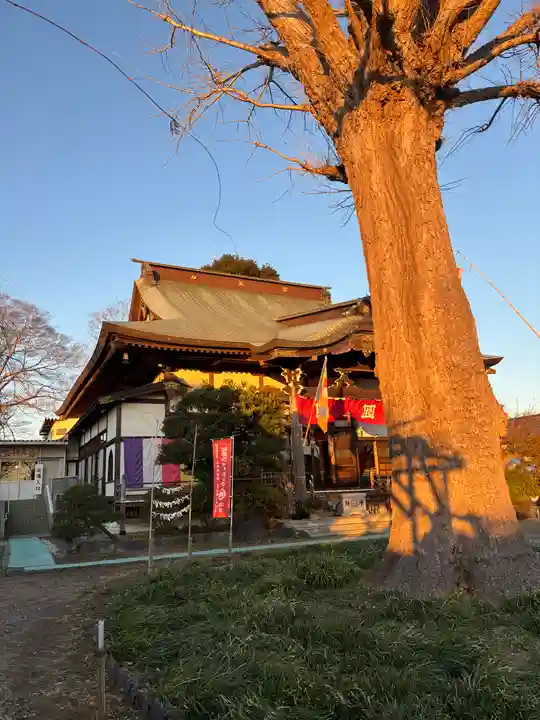 大洞院(千葉県)