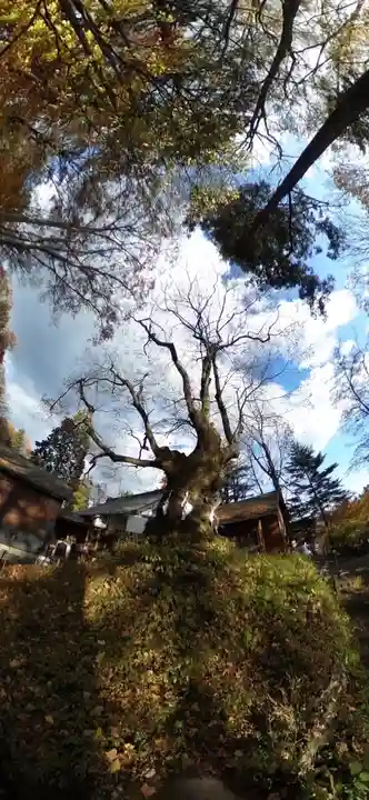 熊野皇大神社(長野県)