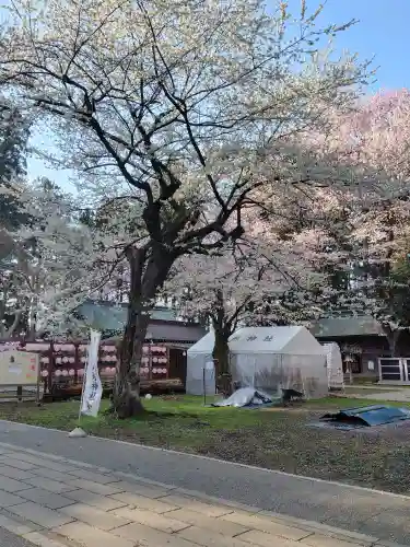 駒形神社の{uncategorized: "未分類", other: "その他", undefined: "問題あり", building: "その他建物", grave: "お墓", sacred_gate: "鳥居", guardian: "狛犬", statue: "像", buddha: "仏像", history: "歴史", nature: "自然", garden: "庭園", animal: "動物", pagoda: "塔", temizu: "手水舎", mountain_gate: "山門・神門", sanctuary: "本殿・本堂", subordinate: "末社・摂社", art: "芸術", scenery: "景色", jizo: "地蔵", ema: "絵馬", goshuin: "御朱印", omikuji: "おみくじ", items: "授与品その他", amulet: "お守り", goshuincho: "御朱印帳", eats: "食事", festival: "お祭り", votive_dance: "神楽", shichigosan: "七五三参", wedding: "結婚式", experience: "体験その他", initially: "初詣", around: "周辺", anti_infection: "感染症対策"}