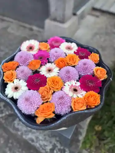 法輪寺の{uncategorized: "未分類", other: "その他", undefined: "問題あり", building: "その他建物", grave: "お墓", sacred_gate: "鳥居", guardian: "狛犬", statue: "像", buddha: "仏像", history: "歴史", nature: "自然", garden: "庭園", animal: "動物", pagoda: "塔", temizu: "手水舎", mountain_gate: "山門・神門", sanctuary: "本殿・本堂", subordinate: "末社・摂社", art: "芸術", scenery: "景色", jizo: "地蔵", ema: "絵馬", goshuin: "御朱印", omikuji: "おみくじ", items: "授与品その他", amulet: "お守り", goshuincho: "御朱印帳", eats: "食事", festival: "お祭り", votive_dance: "神楽", shichigosan: "七五三参", wedding: "結婚式", experience: "体験その他", initially: "初詣", around: "周辺", anti_infection: "感染症対策"}