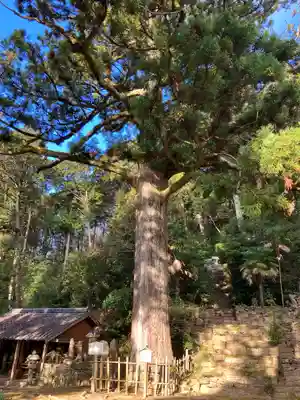 天恩寺(愛知県)