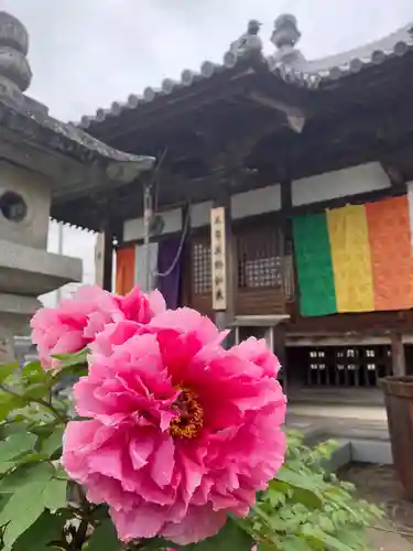 真言宗　善通寺派　薬王寺(香川県)