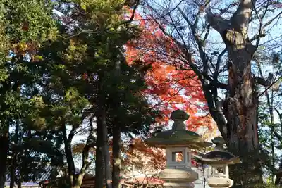 八幡神社のその他建物