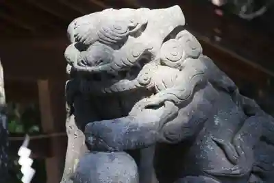 高司神社〜むすびの神の鎮まる社〜の狛犬