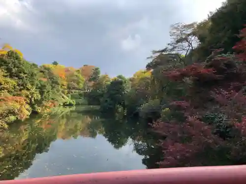 射水神社の景色