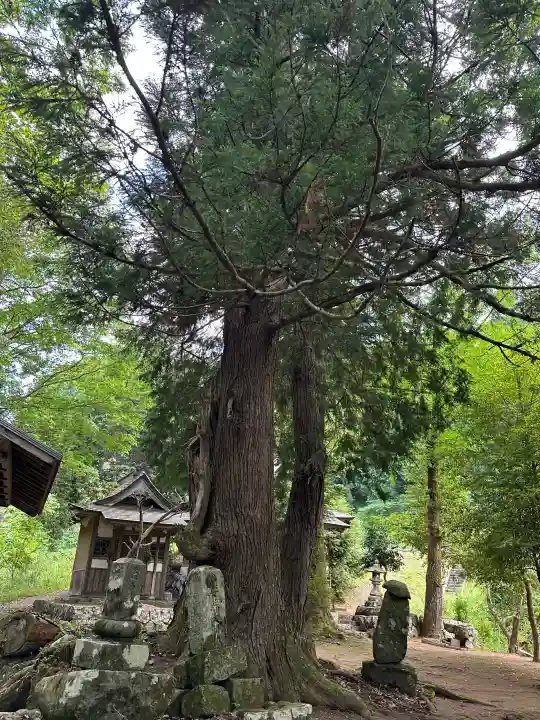板益神社の庭園