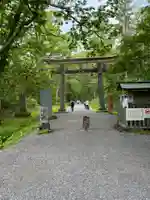 戸隠神社奥社(長野県)