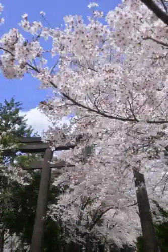 冨士御室浅間神社(山梨県)