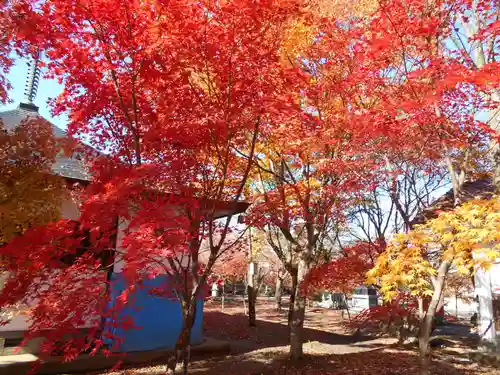 会津薬師寺(福島県)