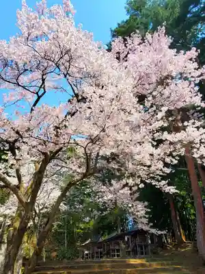 土津神社｜こどもと出世の神さま(福島県)