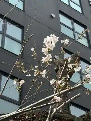 白金氷川神社の{uncategorized: "未分類", other: "その他", undefined: "問題あり", building: "その他建物", grave: "お墓", sacred_gate: "鳥居", guardian: "狛犬", statue: "像", buddha: "仏像", history: "歴史", nature: "自然", garden: "庭園", animal: "動物", pagoda: "塔", temizu: "手水舎", mountain_gate: "山門・神門", sanctuary: "本殿・本堂", subordinate: "末社・摂社", art: "芸術", scenery: "景色", jizo: "地蔵", ema: "絵馬", goshuin: "御朱印", omikuji: "おみくじ", items: "授与品その他", amulet: "お守り", goshuincho: "御朱印帳", eats: "食事", festival: "お祭り", votive_dance: "神楽", shichigosan: "七五三参", wedding: "結婚式", experience: "体験その他", initially: "初詣", around: "周辺", anti_infection: "感染症対策"}