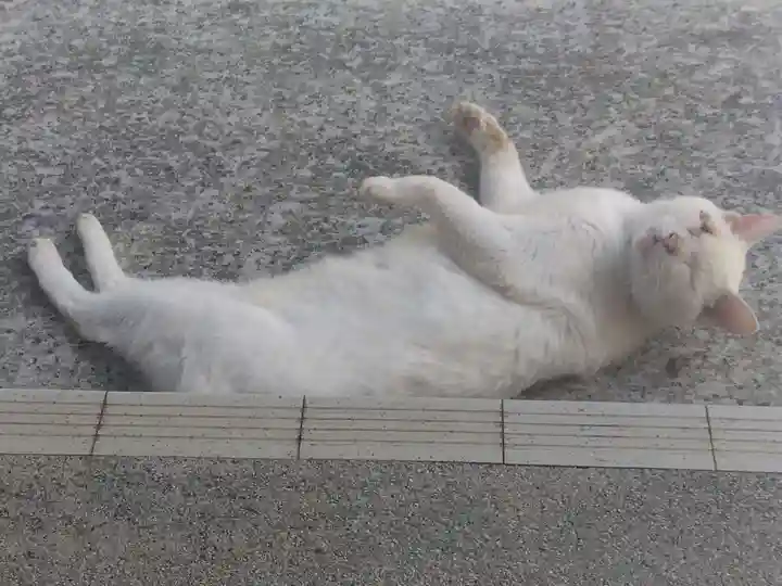 宝寿院(愛知県)