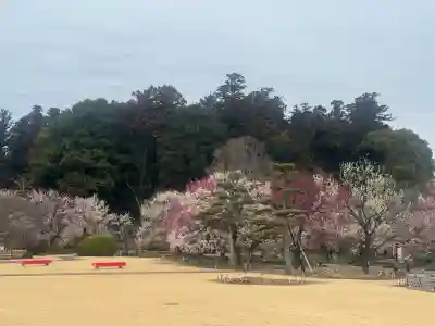 常磐神社の{uncategorized: "未分類", other: "その他", undefined: "問題あり", building: "その他建物", grave: "お墓", sacred_gate: "鳥居", guardian: "狛犬", statue: "像", buddha: "仏像", history: "歴史", nature: "自然", garden: "庭園", animal: "動物", pagoda: "塔", temizu: "手水舎", mountain_gate: "山門・神門", sanctuary: "本殿・本堂", subordinate: "末社・摂社", art: "芸術", scenery: "景色", jizo: "地蔵", ema: "絵馬", goshuin: "御朱印", omikuji: "おみくじ", items: "授与品その他", amulet: "お守り", goshuincho: "御朱印帳", eats: "食事", festival: "お祭り", votive_dance: "神楽", shichigosan: "七五三参", wedding: "結婚式", experience: "体験その他", initially: "初詣", around: "周辺", anti_infection: "感染症対策"}