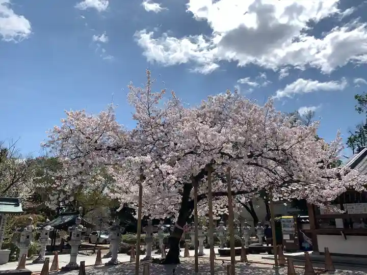 伊和志津神社の自然