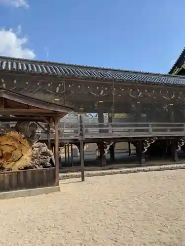 本山専修寺のその他建物