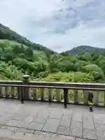 清水寺(京都府)