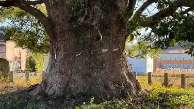 別宮八幡神社(徳島県)