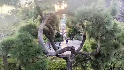 清水観音堂(東京都)