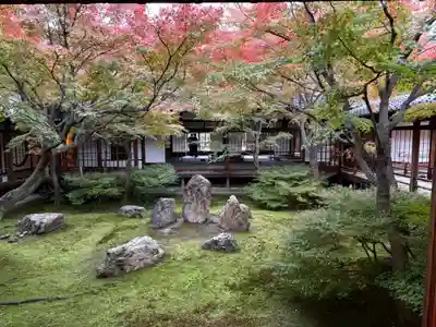 建仁寺（建仁禅寺）(京都府)